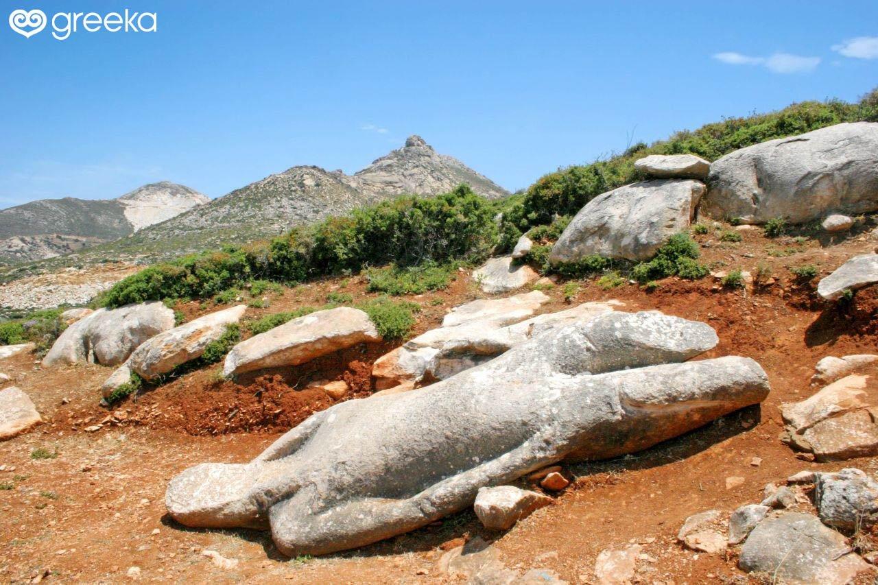 🗿 플레리오의 쿠로이 (쿠로이 멜라논 플레리오)