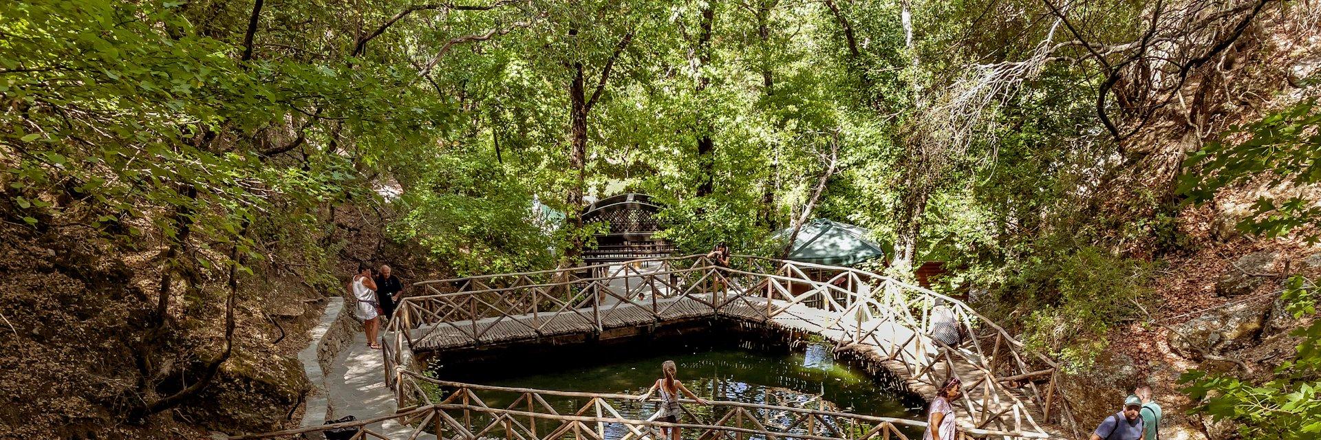 🦋 나비 계곡(코일라다 페탈루돈)