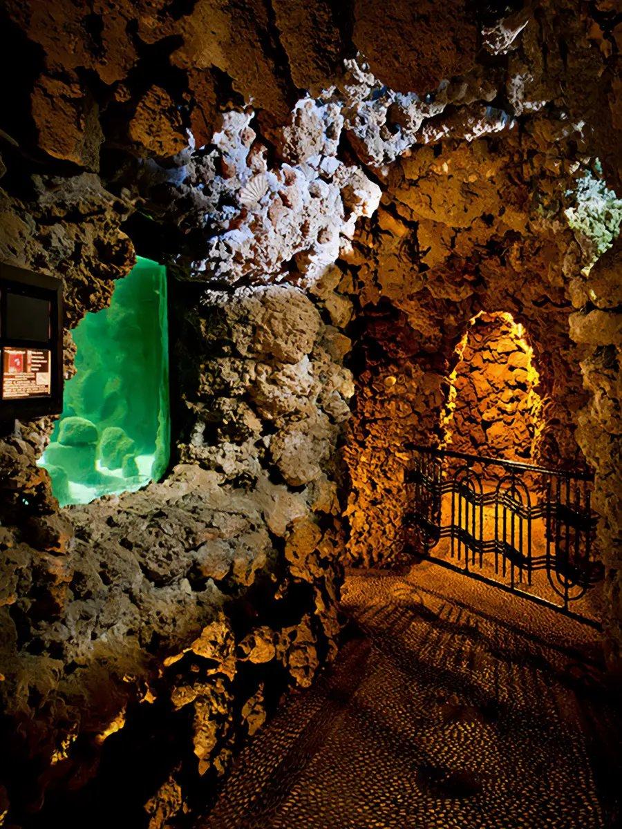 동굴형 내부 관람로