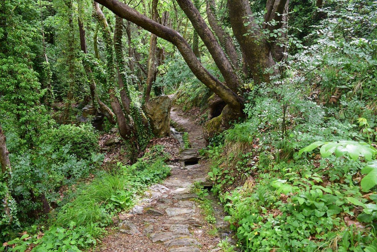 볼로스, 그리스