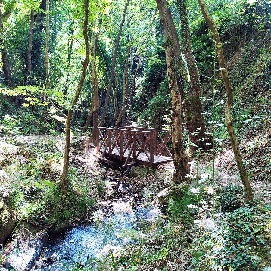 과거 목조 다리가 있던 계곡 주변