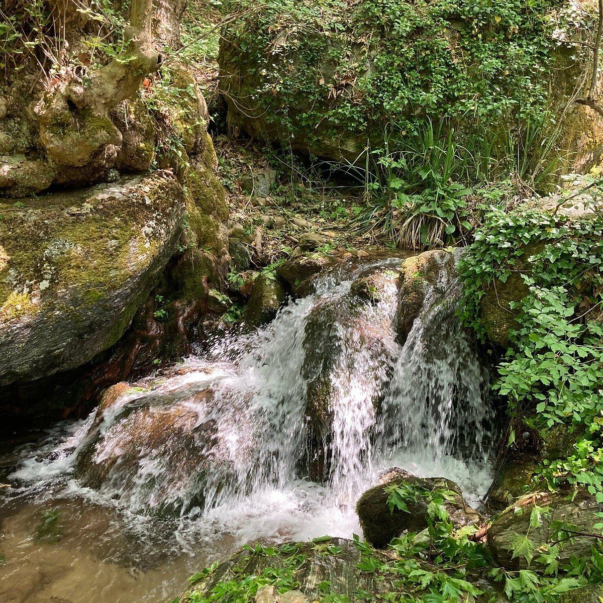 작은 폭포와 물웅덩이