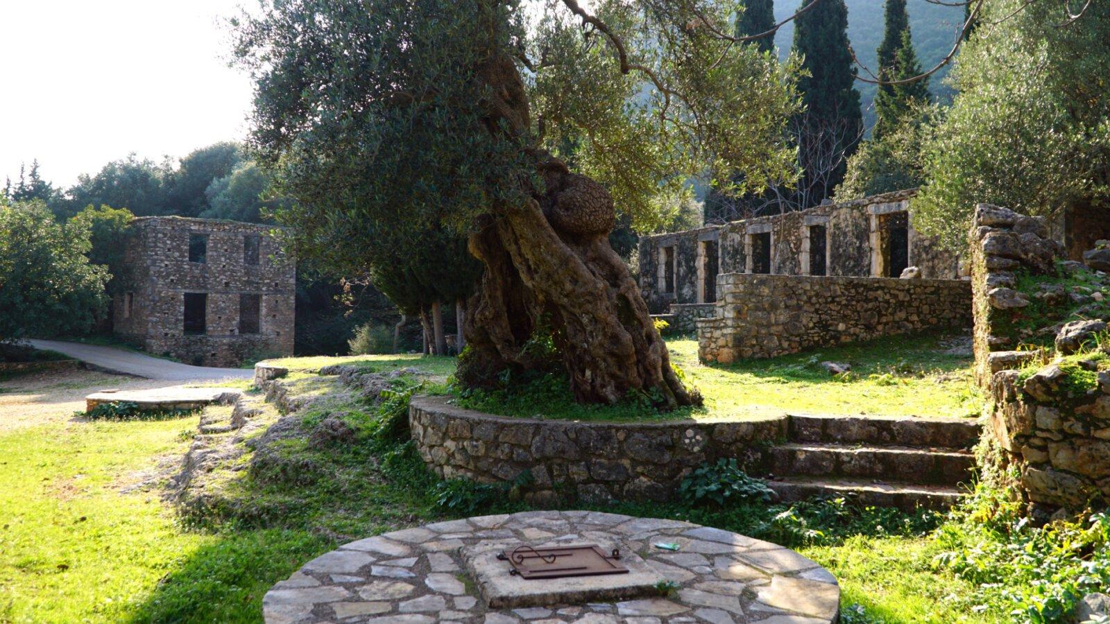 👻 올드 블라하타 (팔리아 블라하타)