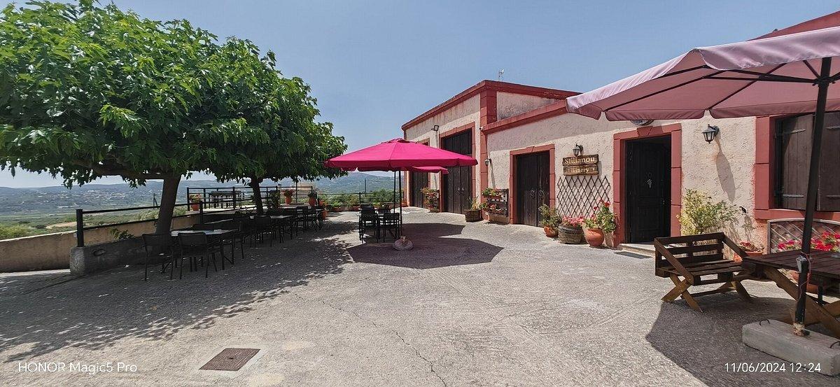 🍇 스틸리아누 와이너리 (와이너리 스틸리아누)