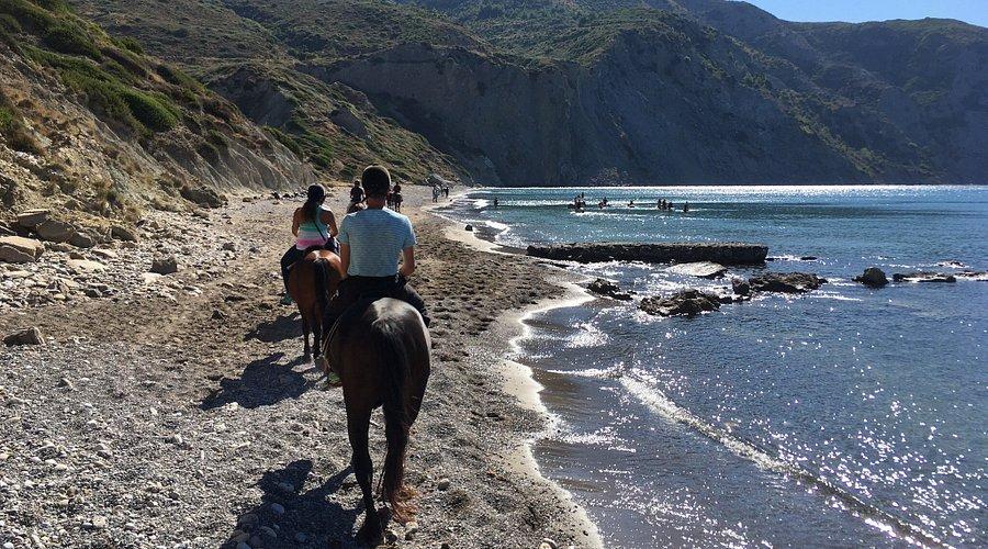 🐴 나나의 승마 체험(나나스 호시스 자킨토스)