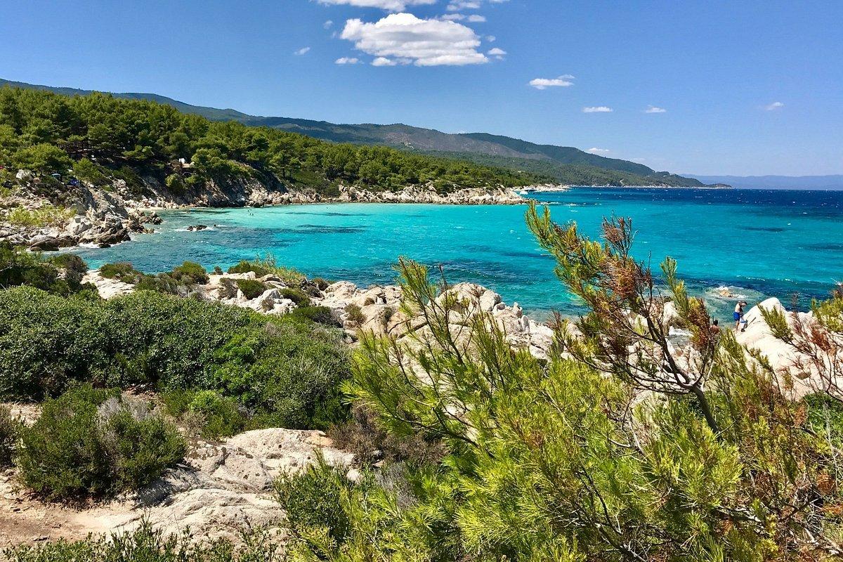 🏖️ 게 구멍 해변 (파랄리아 카부로트리페스)