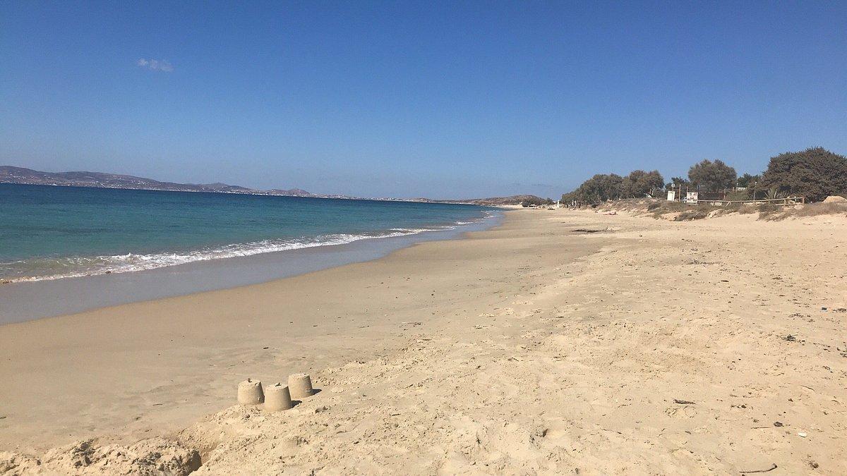 해변 남쪽 끝, 자연 모래 언덕