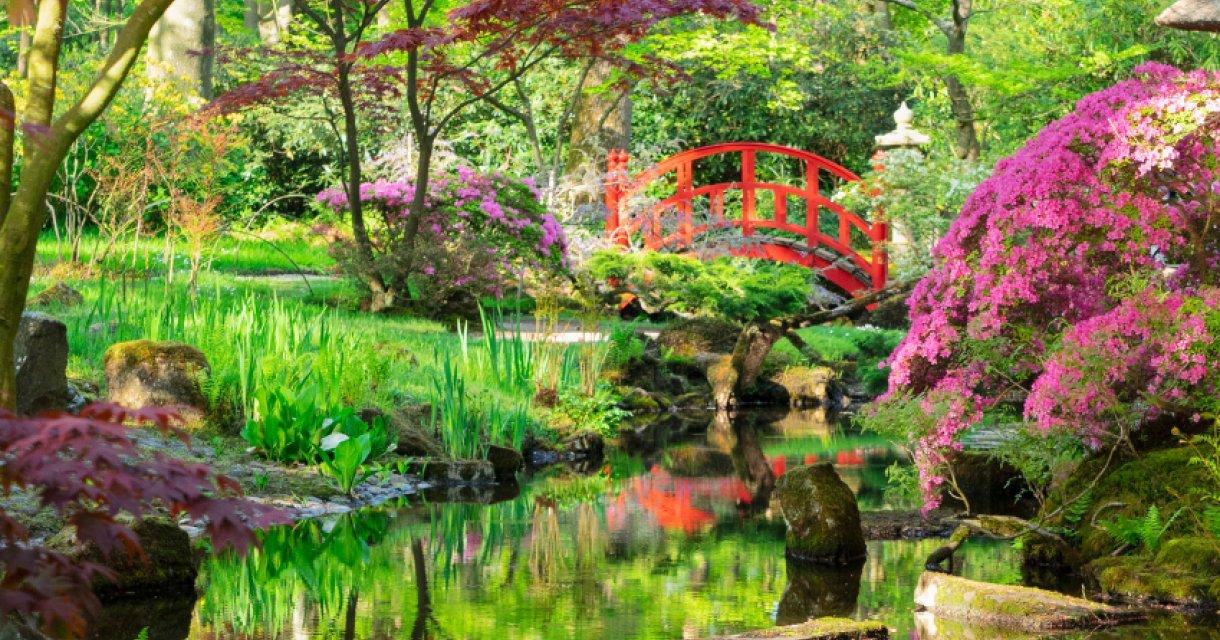 🌸 일본 정원(야판서 타윈)