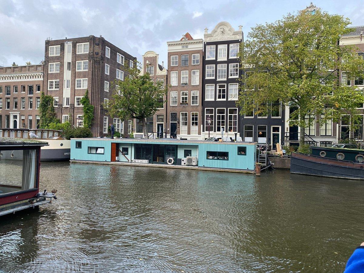 😻 고양이 보트 (더 푸즌보트)