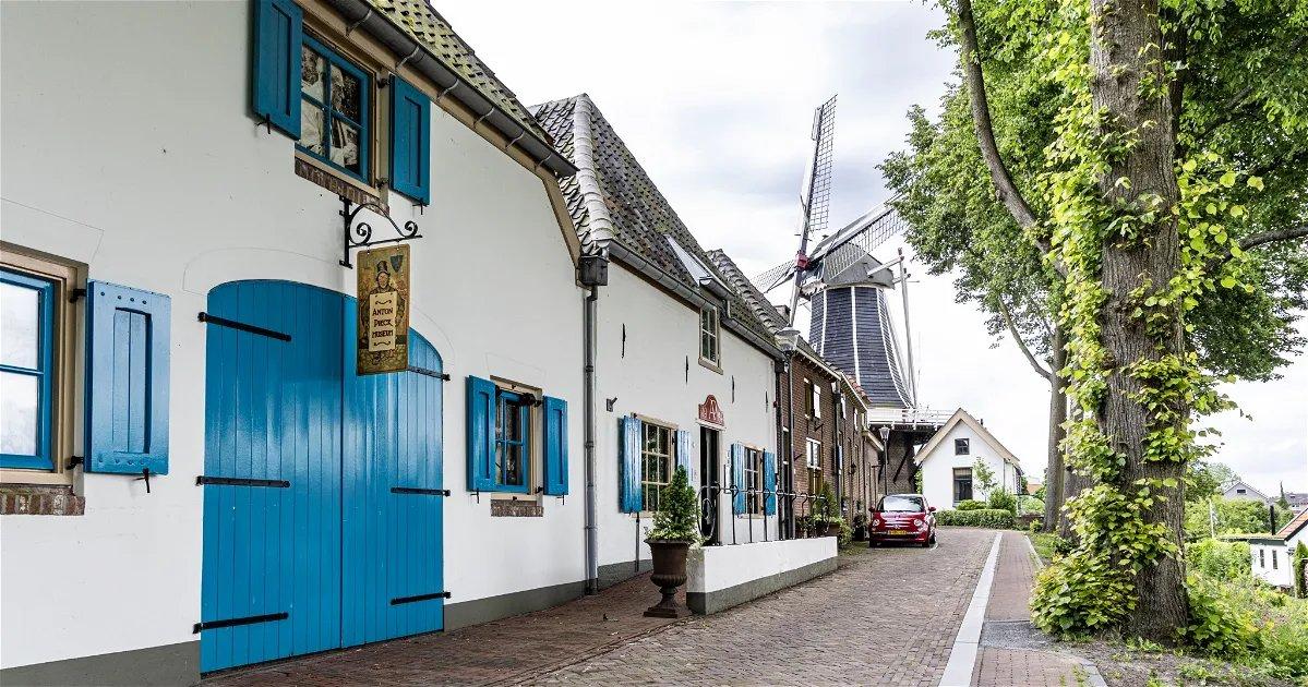 🎨 안톤 피크 박물관 (안톤 피크 뮤지엄)