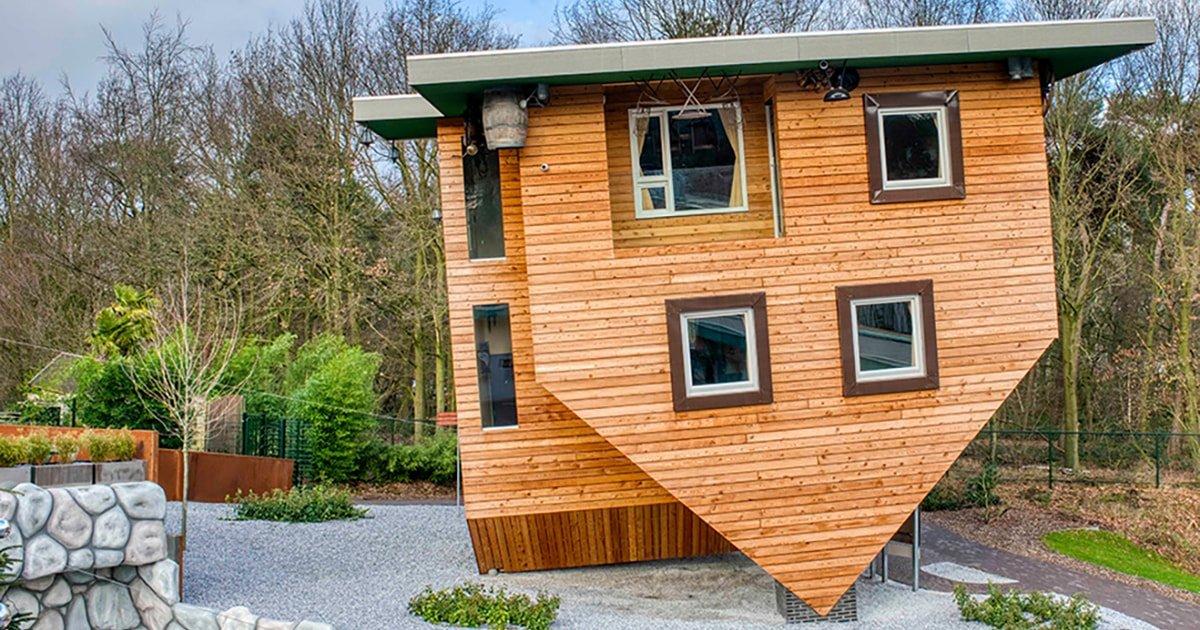 🧠 마음의 수수께끼(마인드 미스터리)