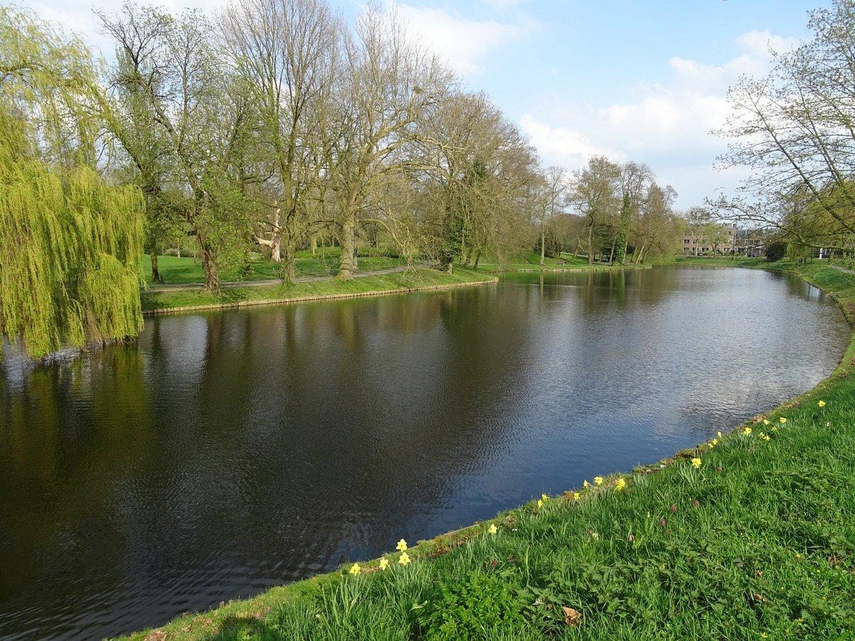 🌳 레이스터르보르허르 공원(레이스터르보르허르파르크)