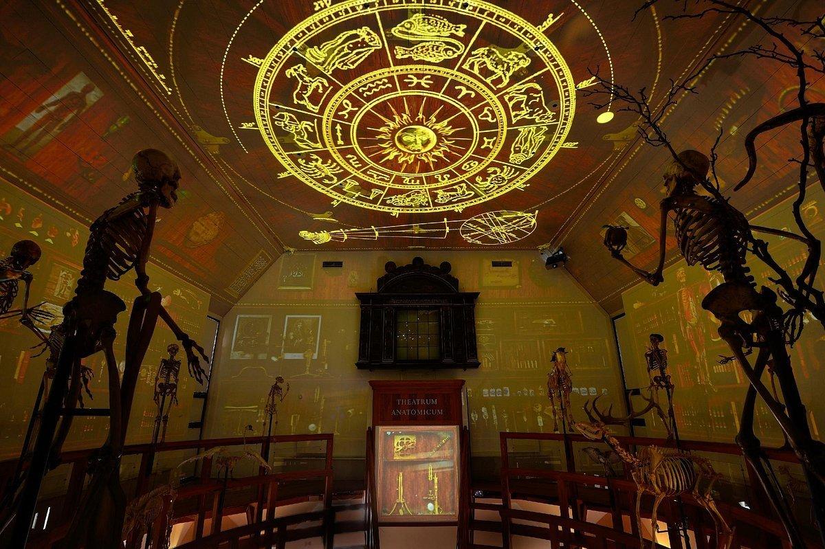 🏛️ 국립 부르하버 박물관(레이크스뮈세윔 부르하버)