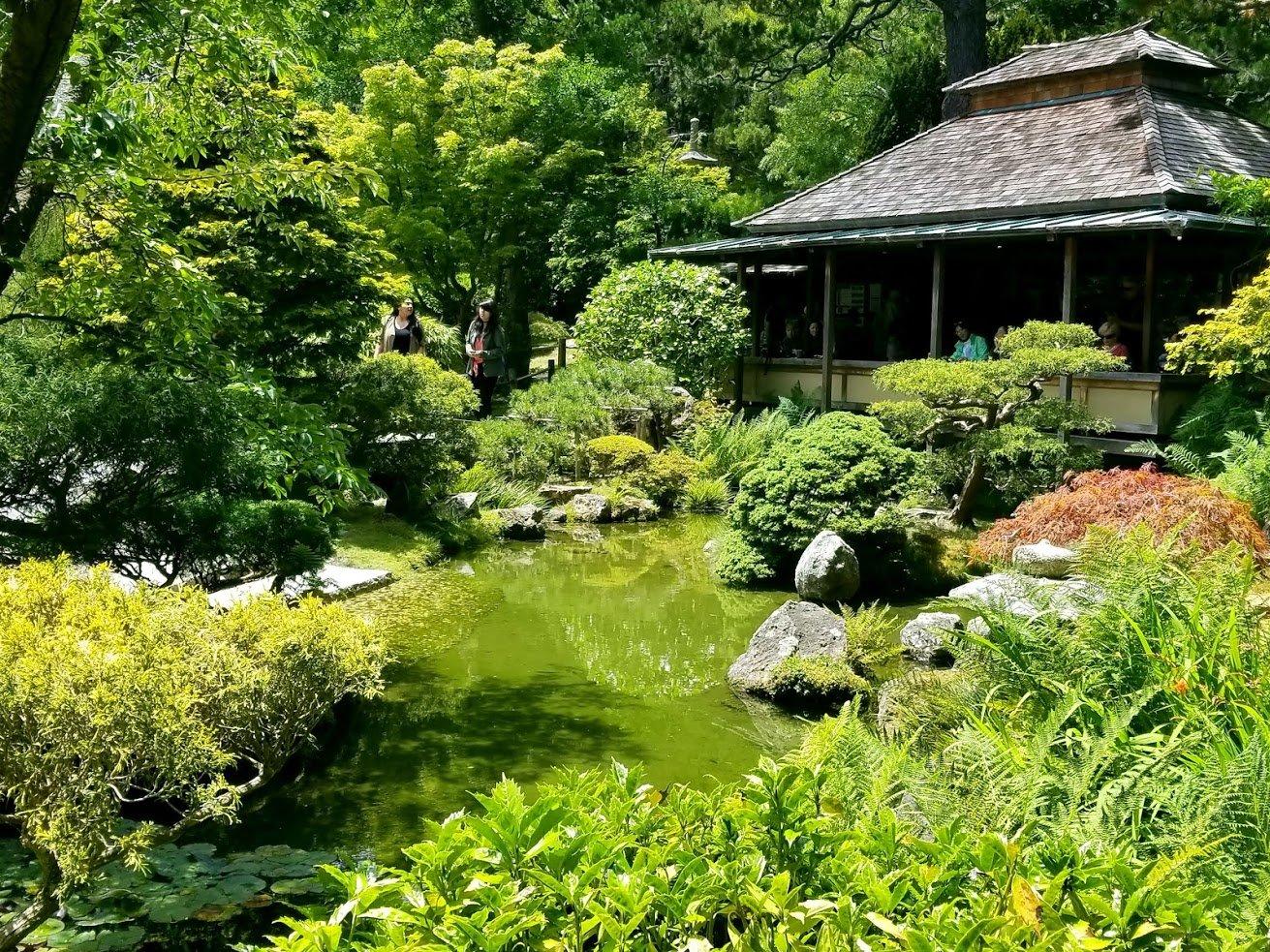 일본 정원 (다실 및 잉어 연못)