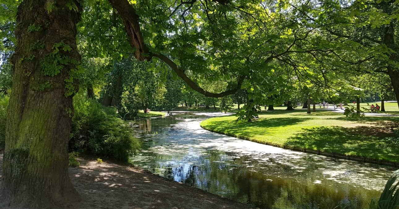 🌳 더 파르크 (헷 파르크)