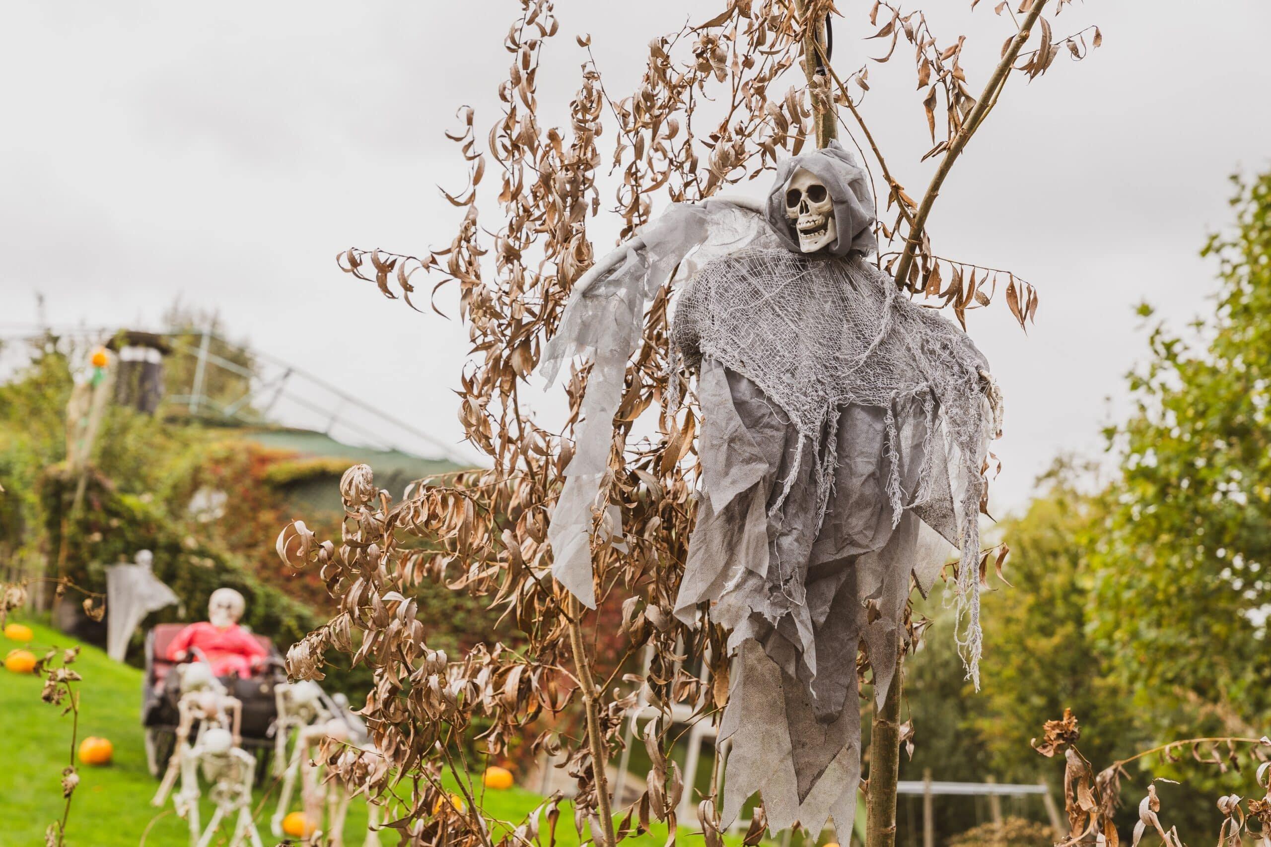 플라스베이크 공원 할로윈 이벤트