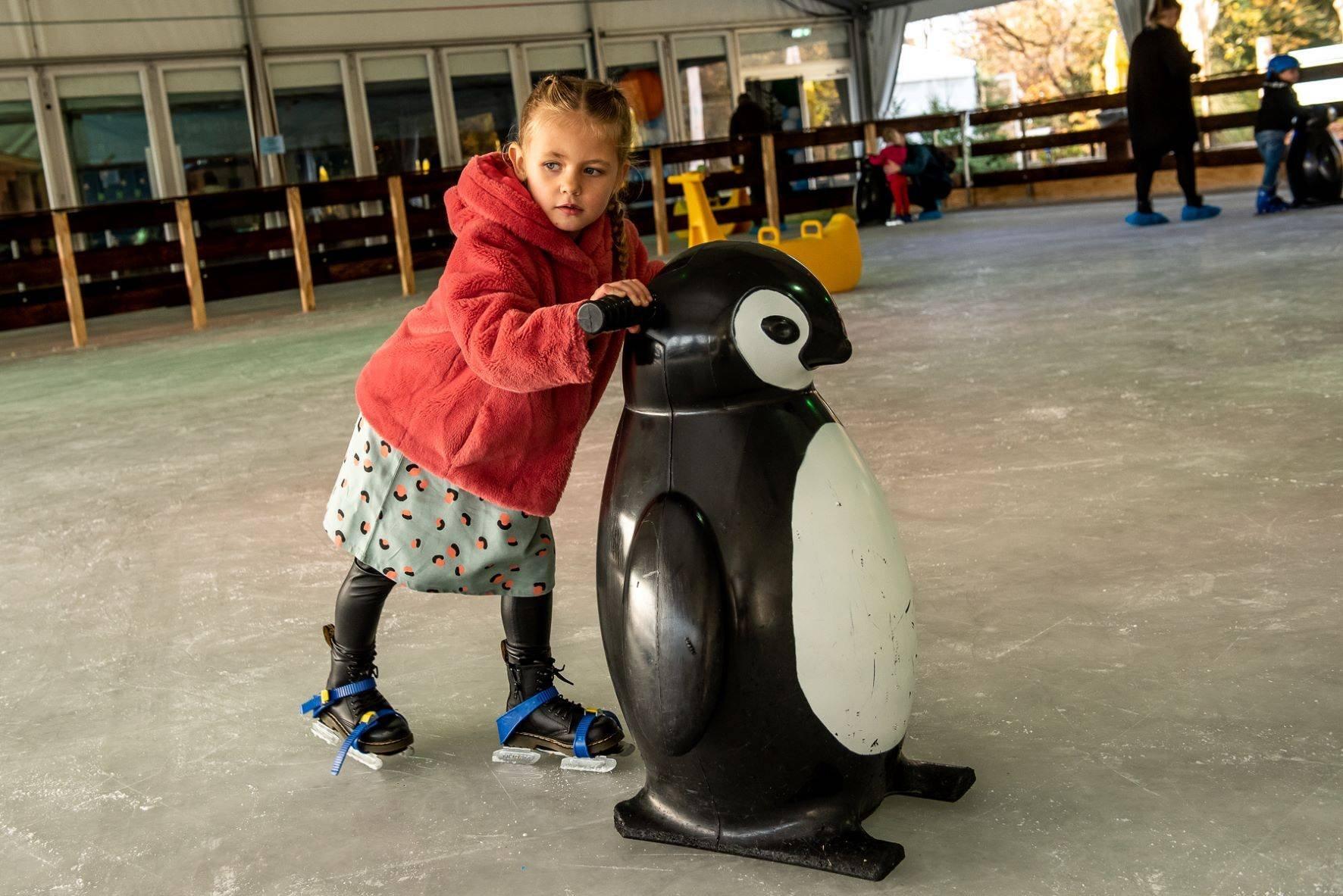 플라스베이크 공원 겨울 스케이팅