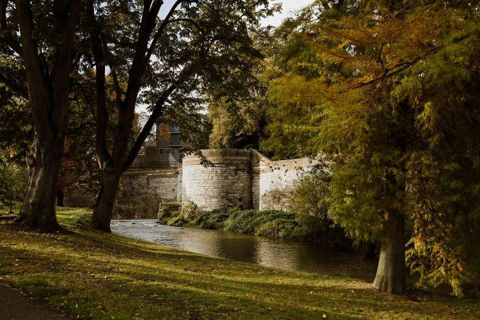 🌳 시티 파크(스타츠파르크)