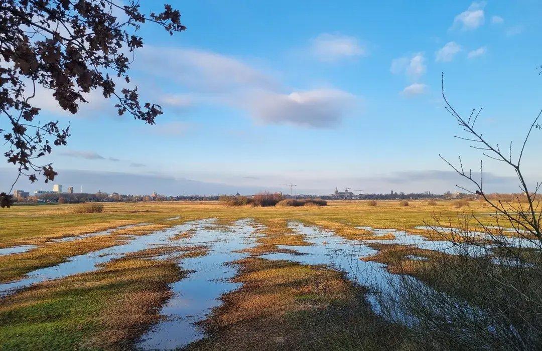 🏞️ 보스의 소택지(헷 보스허 브룩)