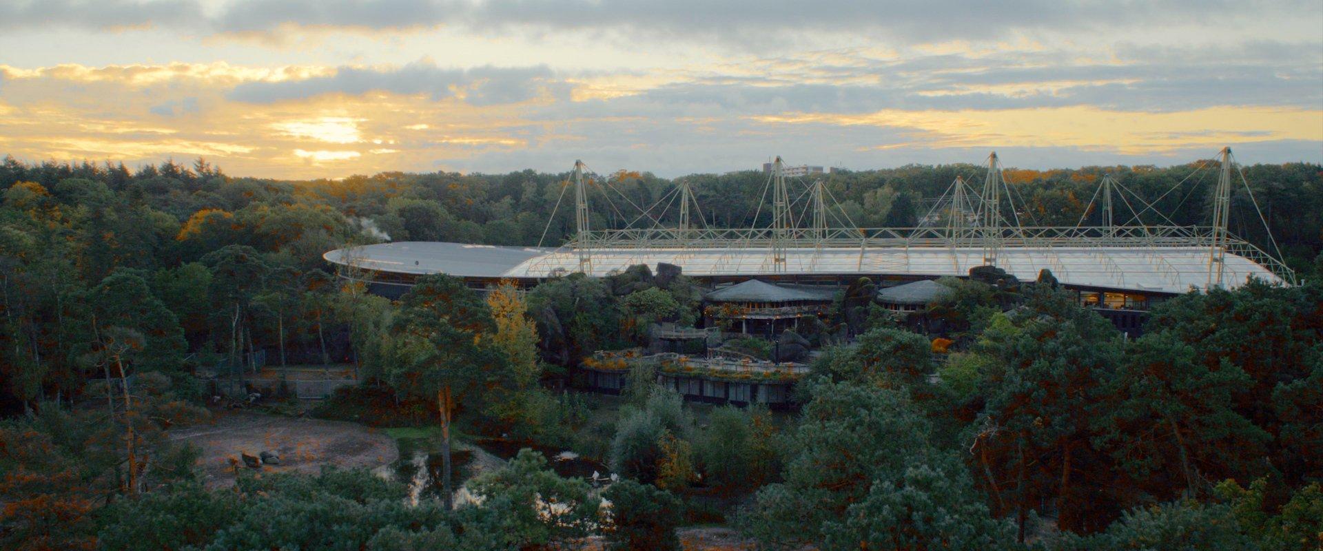 사파리 전망 데크