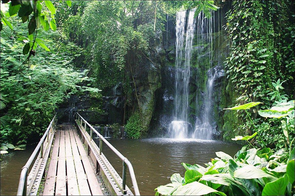 부시(Bush) 내부 폭포 및 조류 관찰 지점