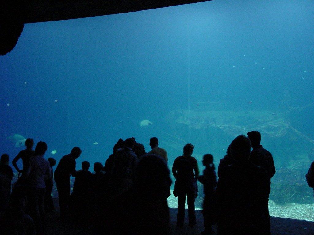 오션(Ocean) 대형 수조 앞