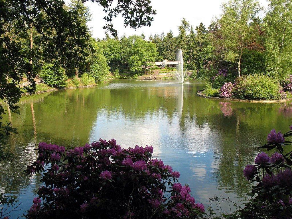 계절별 꽃밭과 나비 정원 (Seasonal Flower Beds and Butterfly Garden)