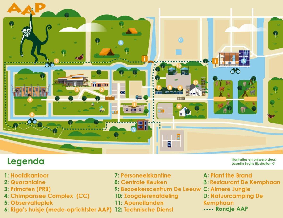 🐒 AAP 재단(스티흐팅 아압)