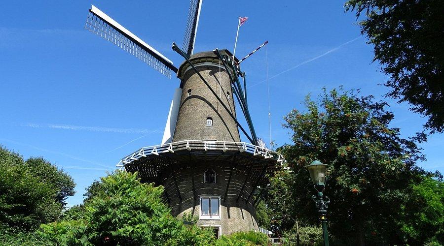 🌬️ 피트 풍차(몰런 판 피트)