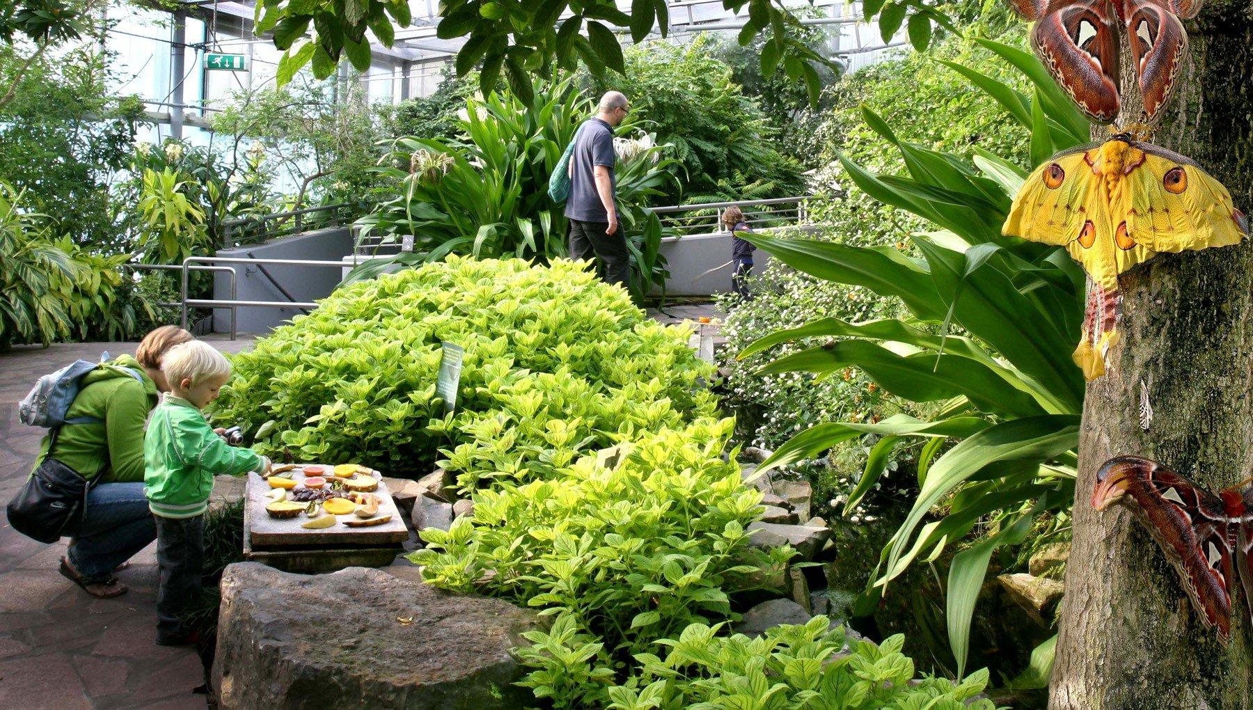 나비 정원 내부