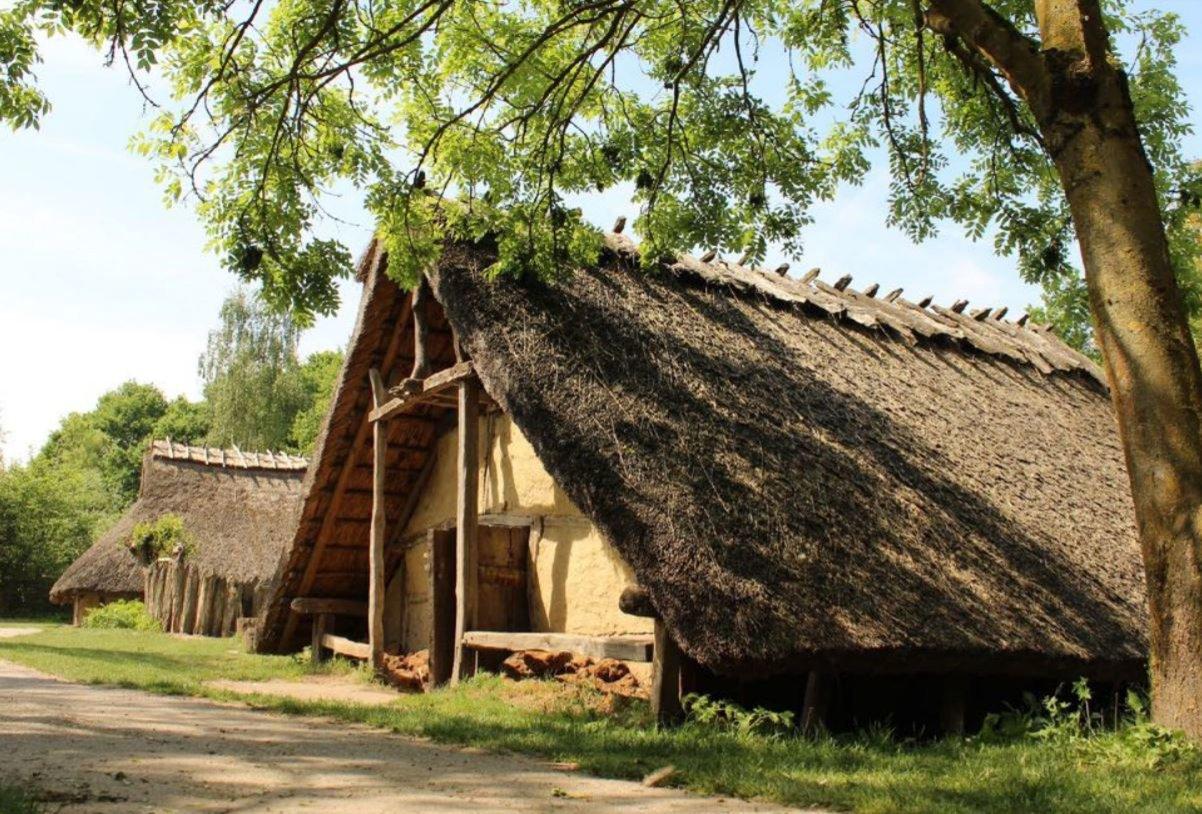 🏛️ 선사시대 마을(프레히스토리쉬 도르프)