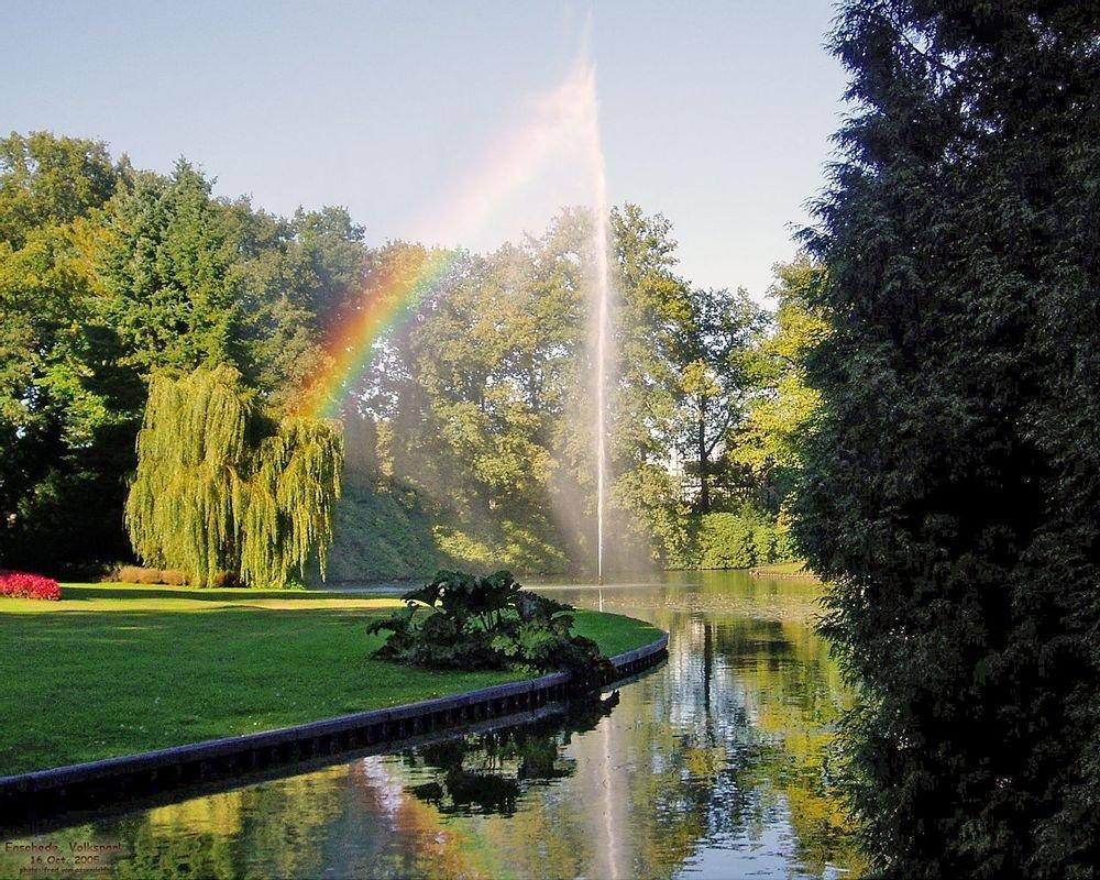 오래된 거목과 숲길 산책로
