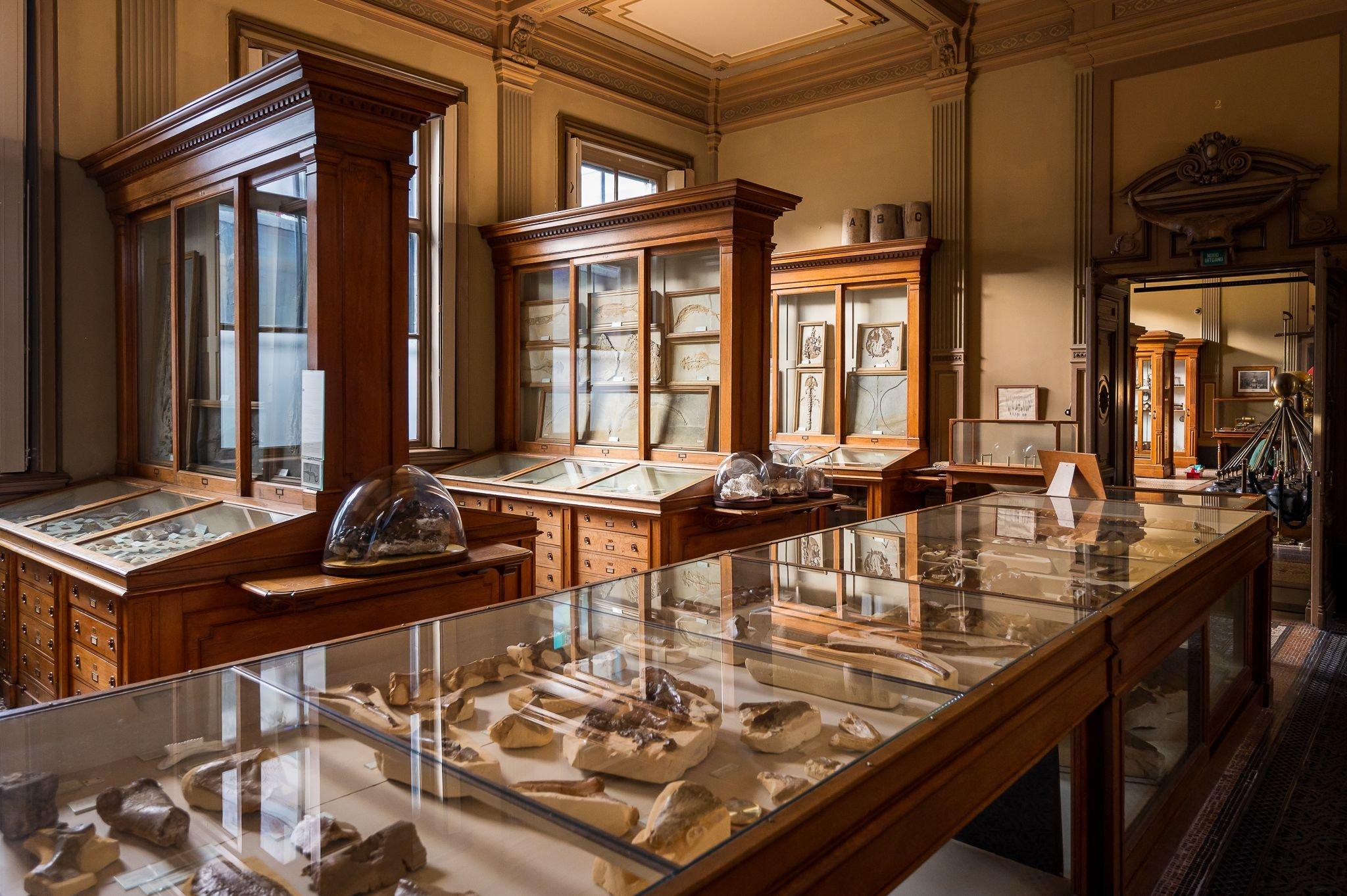 화석실 및 기구실