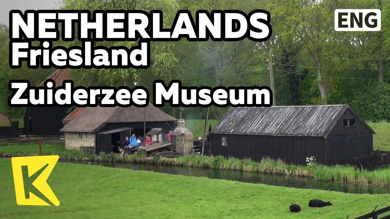 🌳 자위더르 공원(자위더르파르크)