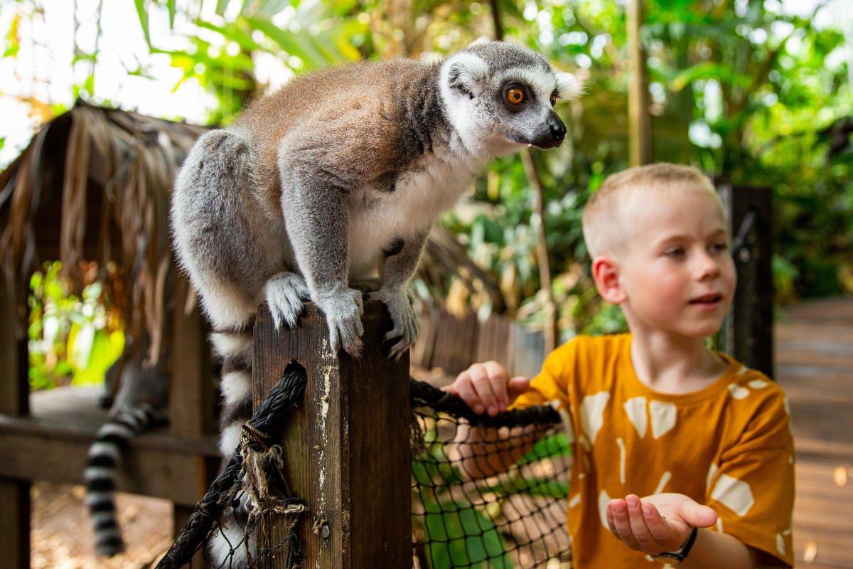 🐒 리틀 동물원 (덴 릴레 뒤레하게)