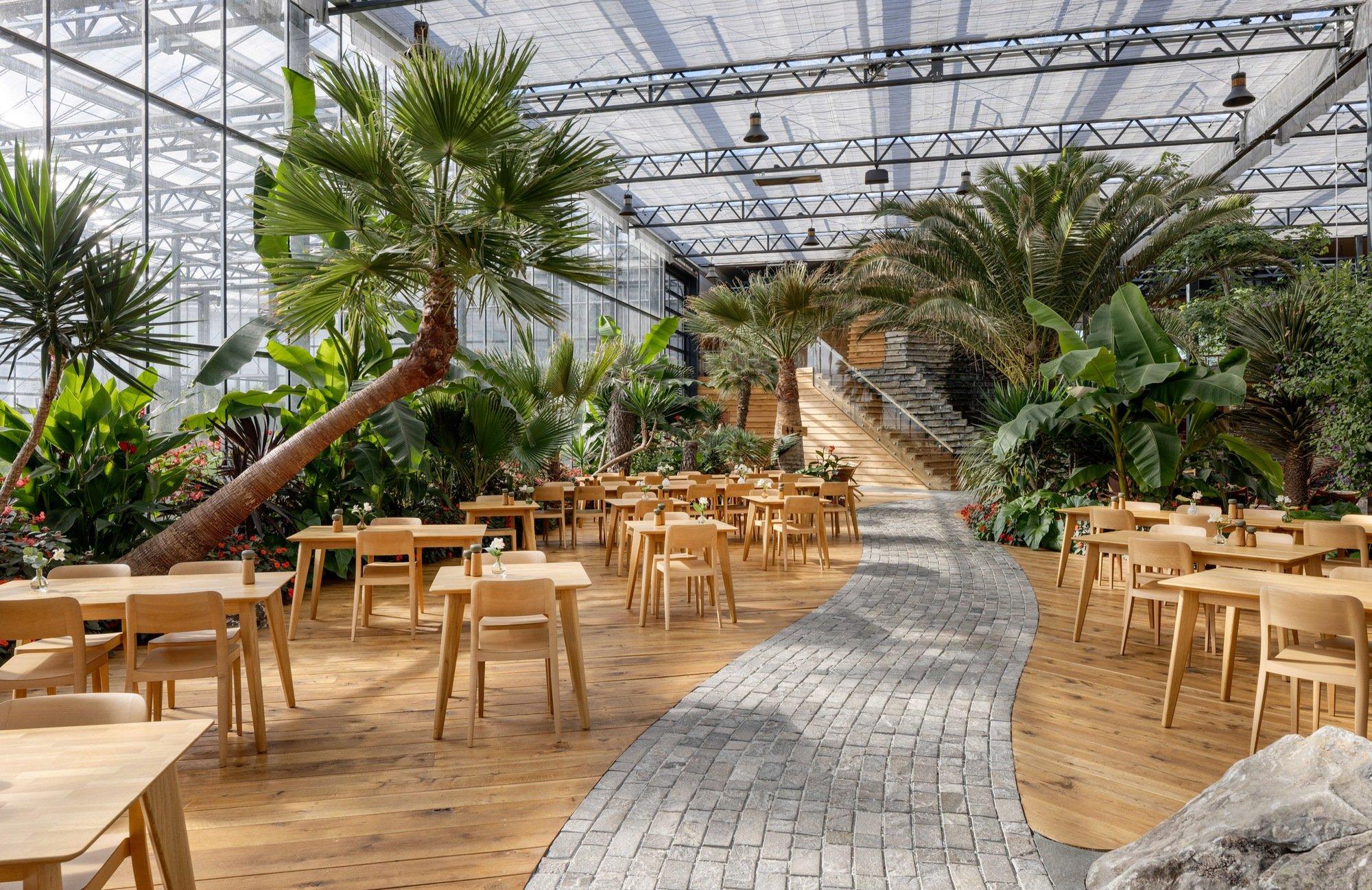 열대 식물과 야자수가 있는 온실