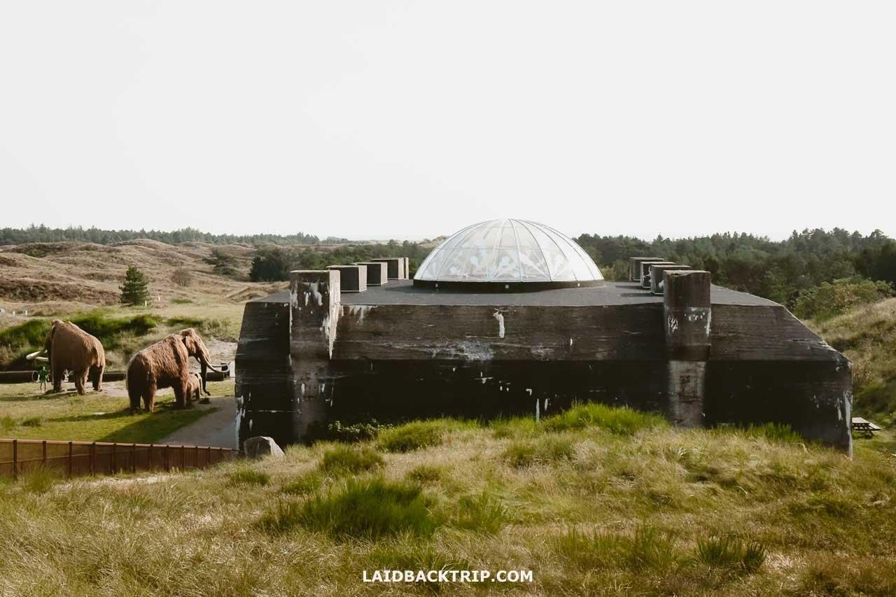 🏛️ 티르피츠 박물관(Tirpitz Museum)