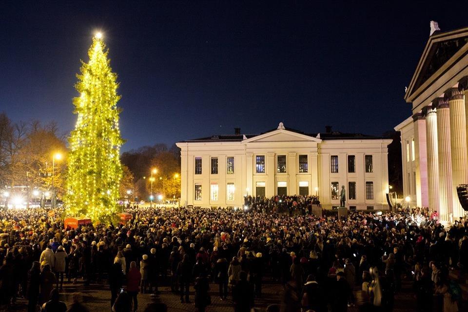 화려한 조명 장식과 크리스마스 트리 앞