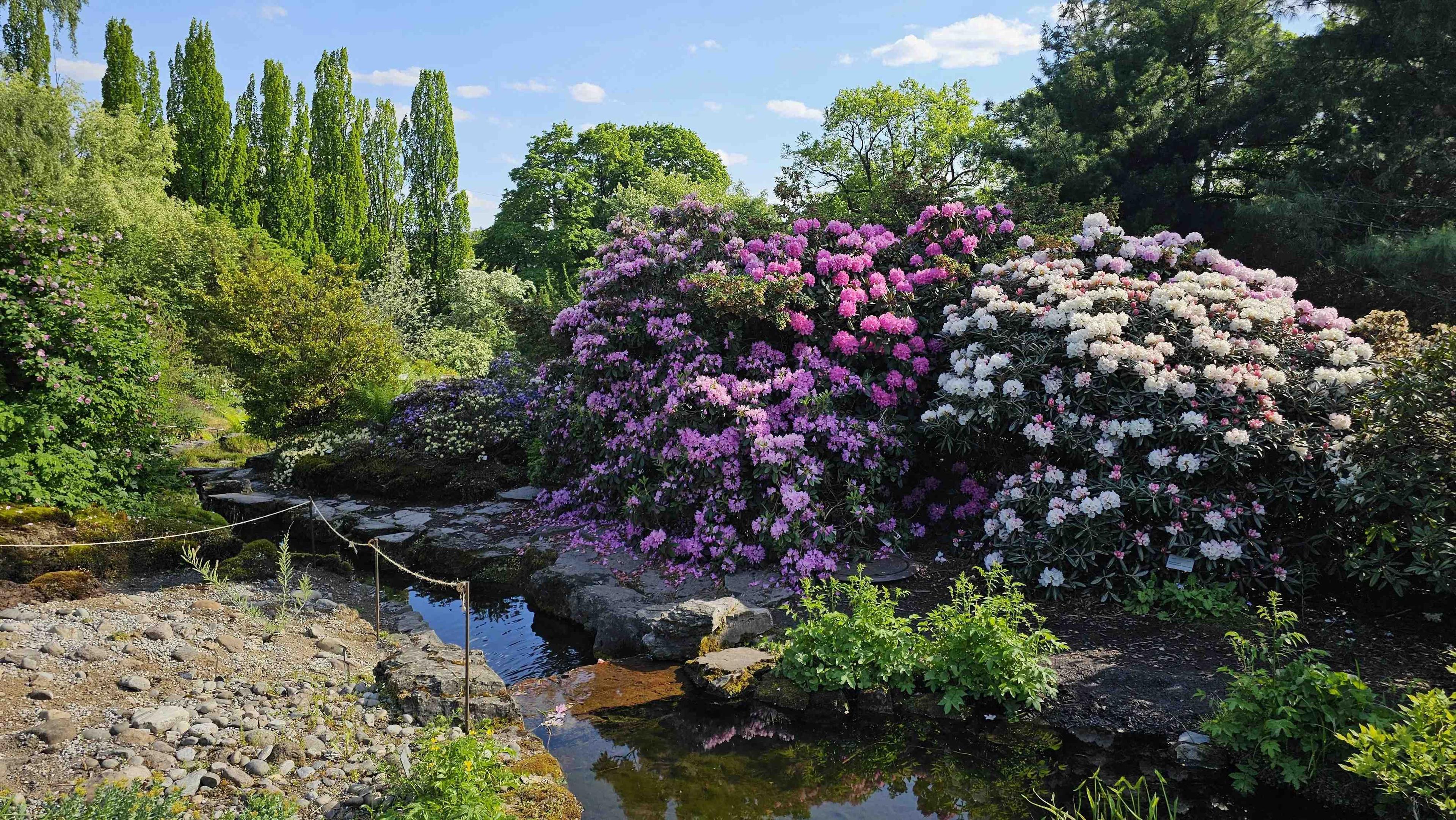 계절별 꽃밭과 온실