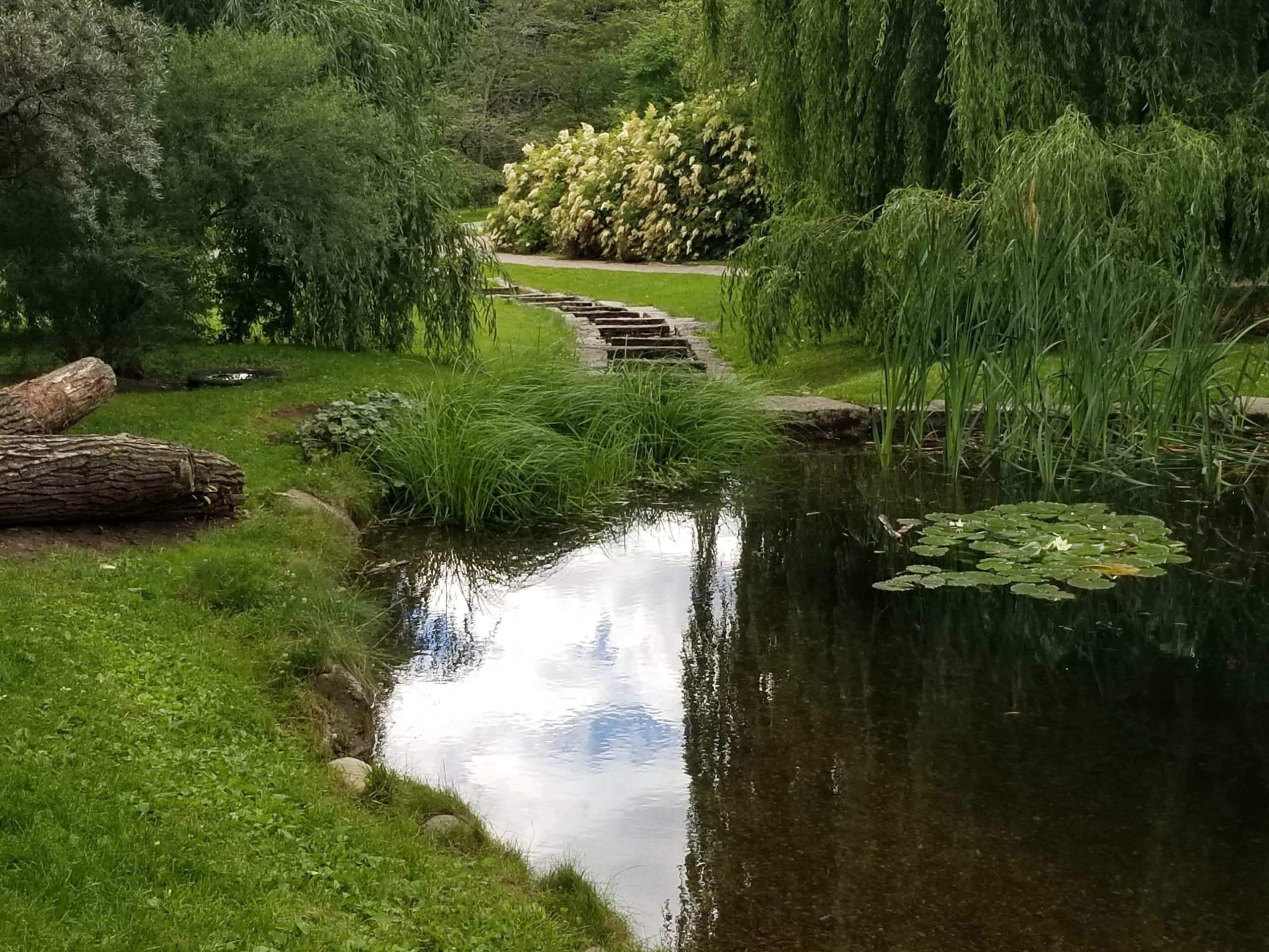 잘 가꾸어진 테마 정원