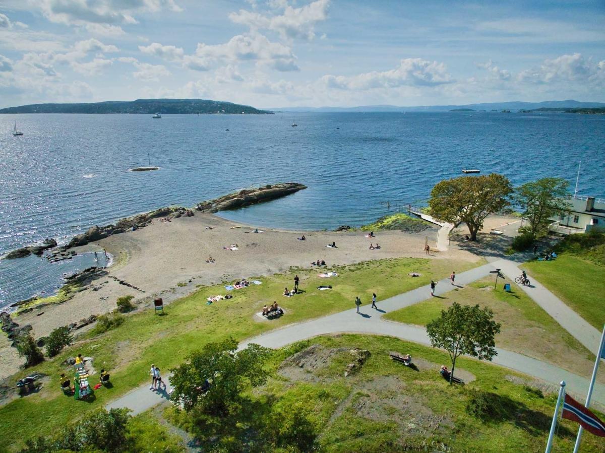 해변 전체를 조망할 수 있는 잔디 언덕