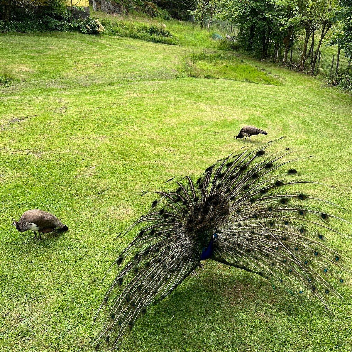 🐾 하우갈란 동물원 (헤우갈란 주)