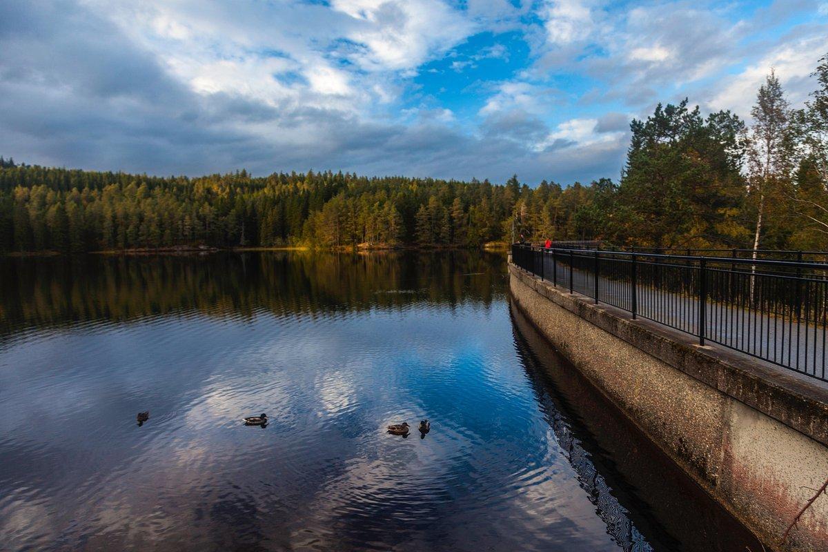 바클리담멘(Baklidammen) 등 호숫가