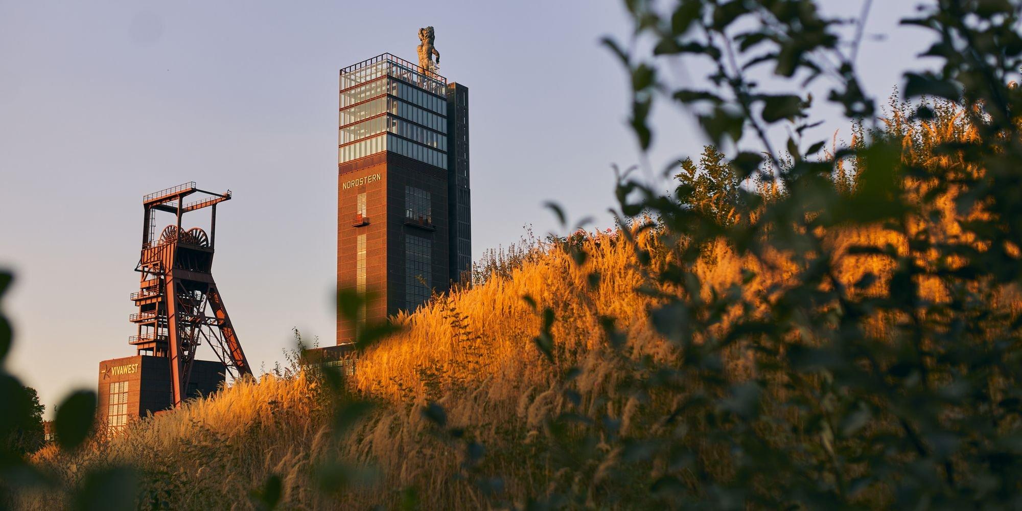 🌳 북극성 공원(노르트슈테른파르크)