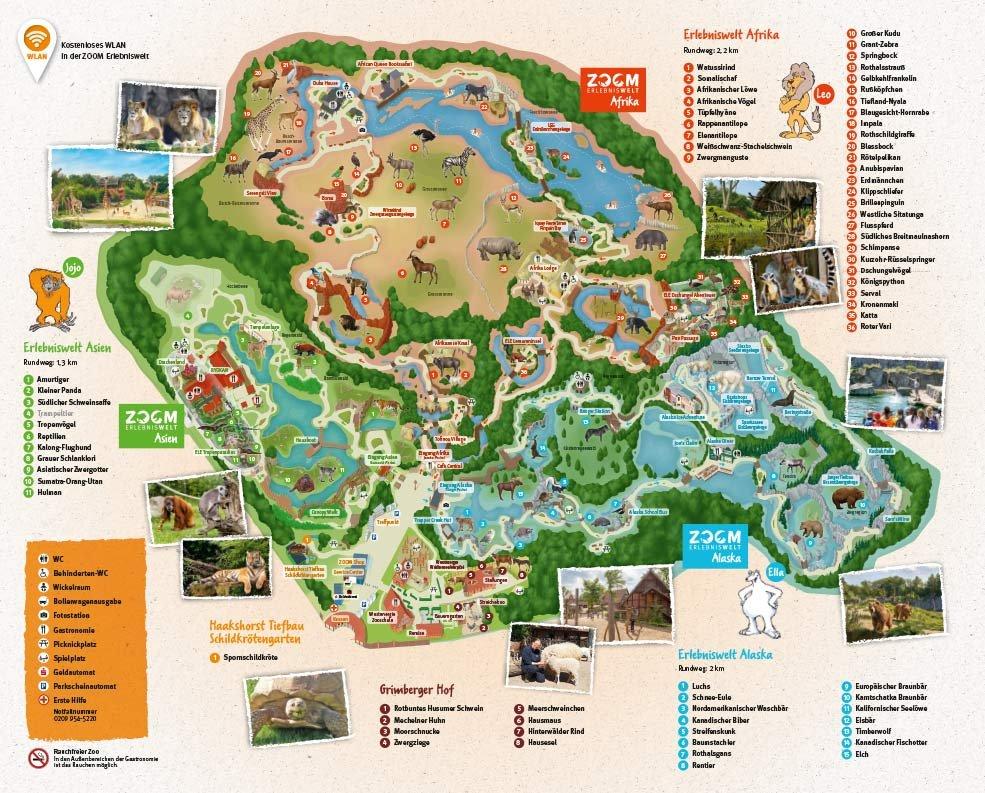 🦁 줌 체험 세계 (줌 에를렙니스벨트)