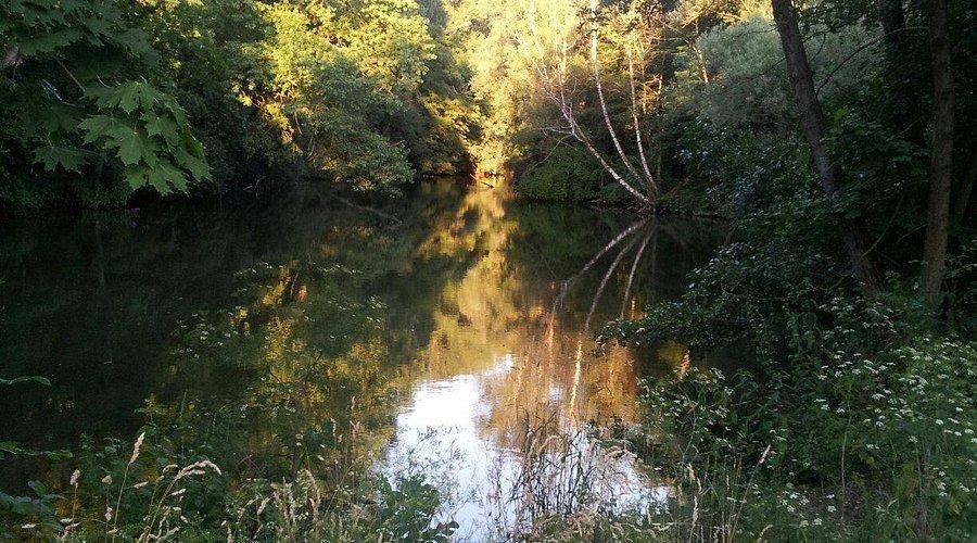 🌳 파버발트(Faberwald)