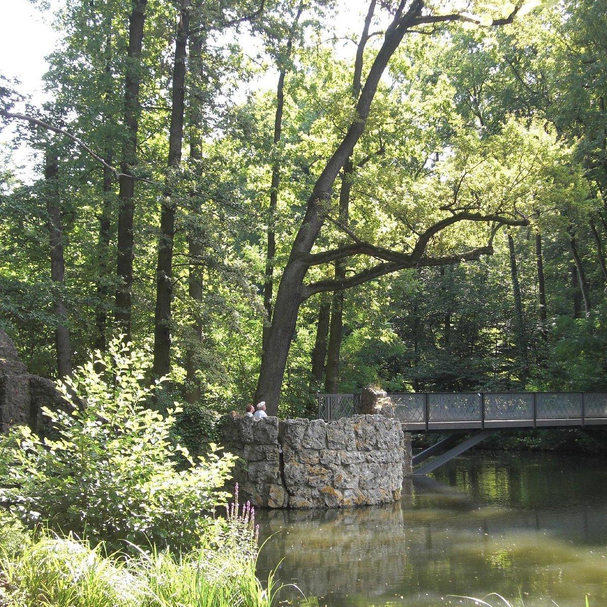고목과 자연 그대로의 풍경