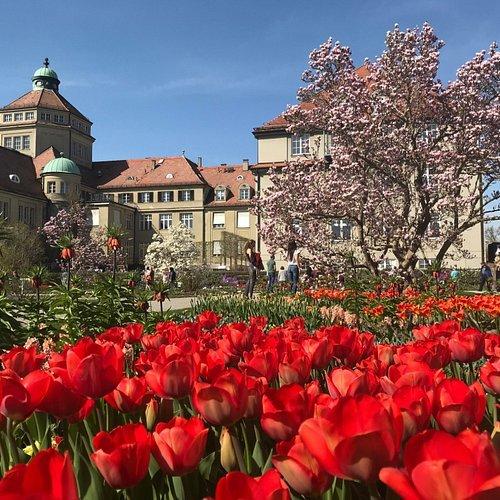 계절 꽃과 회양목 산책로