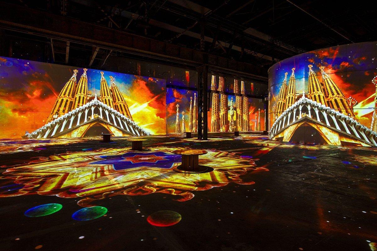 ✨ 빛의 불사조(피닉스 데 뤼미에르)