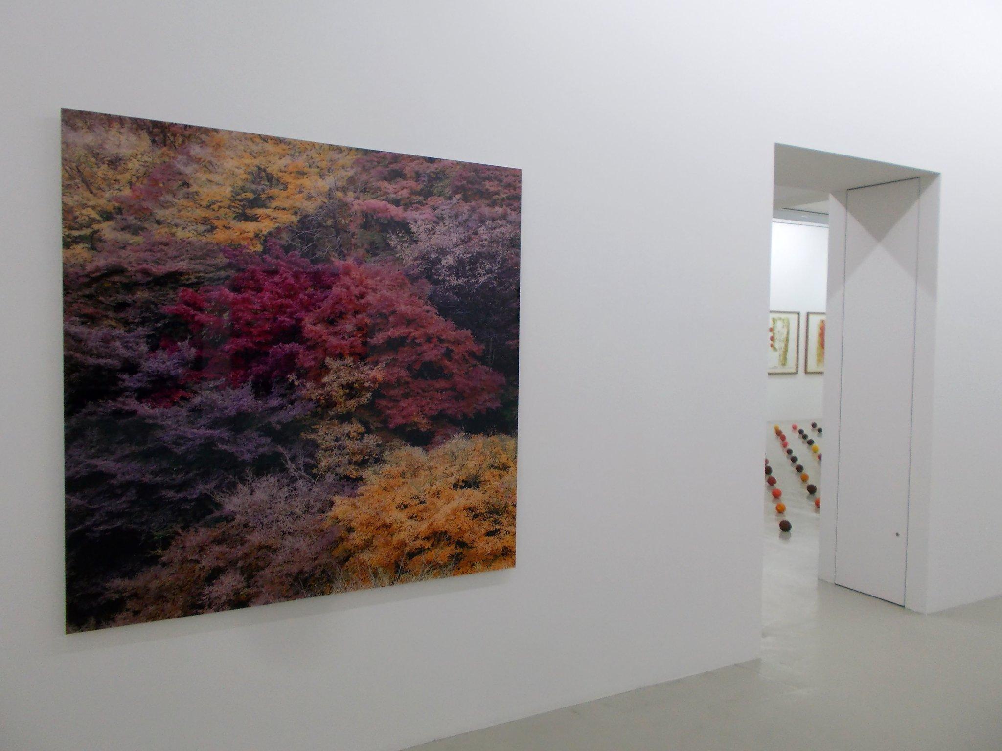 고요한 아름다움의 선 전시 모습